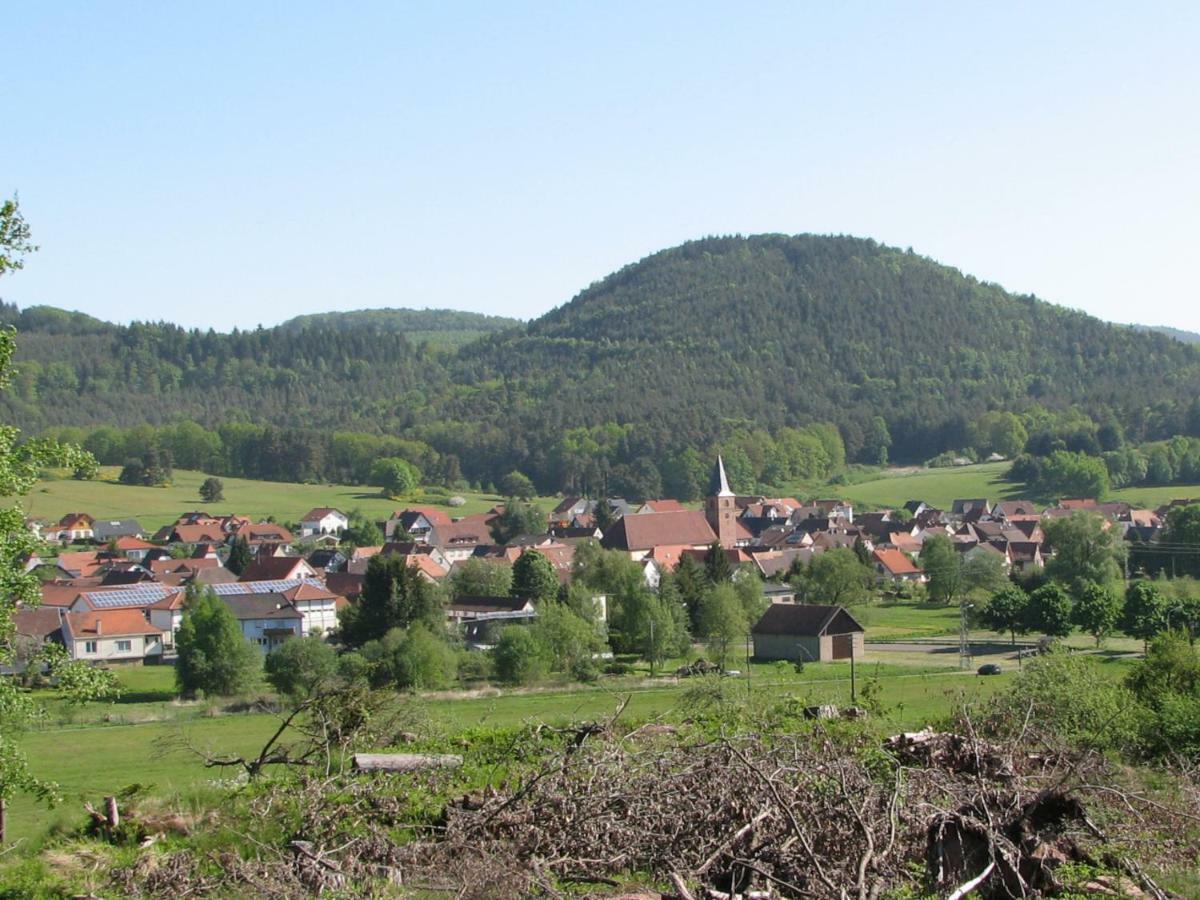 Ferienhaus Zum Haertschd Apartamento Fischbach Exterior foto